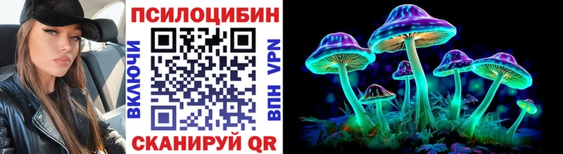 MEGA зеркало  где купить наркоту  Новороссийск  Галлюциногенные грибы Cubensis 